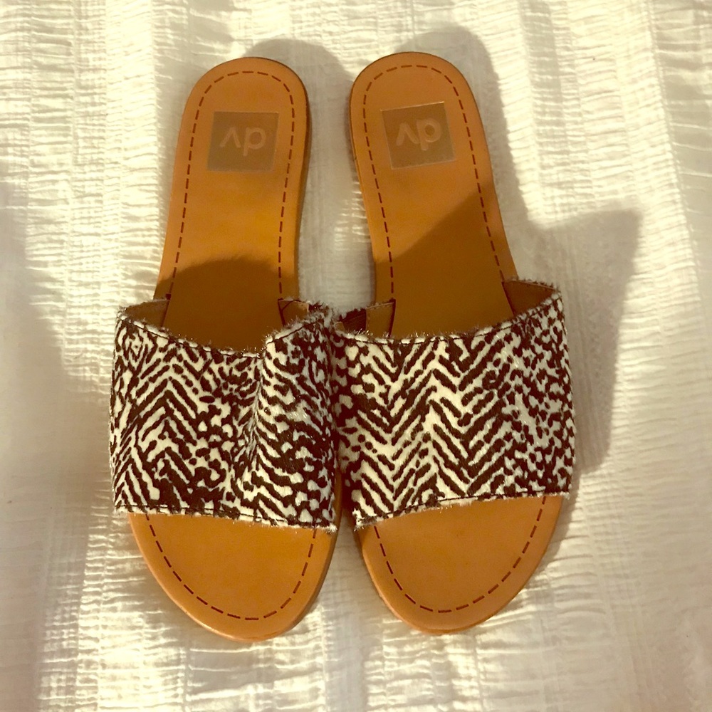 DV slides